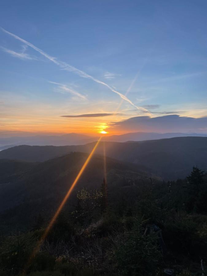 Gorska Energia Dom Dla 12 Osob Z Sauna I Jacuzzi Szczyrk