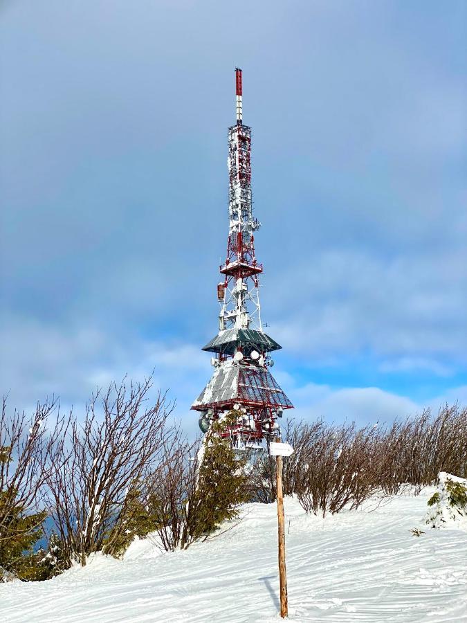 Gorska Energia